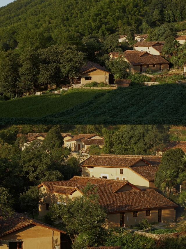 西坡江山｜躺進浙西秘境，住進萬畝梯田神仙民宿