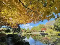 名古屋紅葉—白鳥庭園