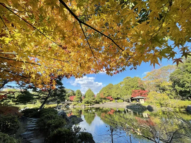 名古屋紅葉—白鳥庭園 名古屋紅葉—白鳥庭園