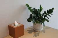 昆明南站附近,中轉過渡選他家。