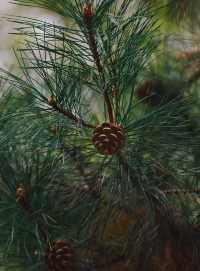 稷山酒店套房攻略