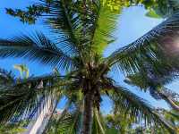 景洪嘎洒機場旁寶藏酒店｜夢景悅蘭莊，落地即享熱帶度假感