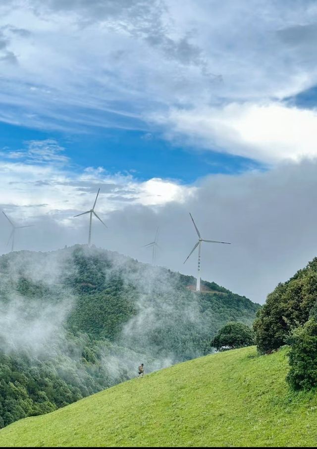 大理風車山!闖進童話牧場 大理風車山!闖進童話牧場