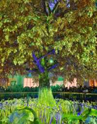 電影控必打卡！《捕風追影》澳門取景地·永利皇宮黃金發財樹攻略