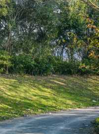 南京這個低調的度假天堂週末避開人潮就衝這