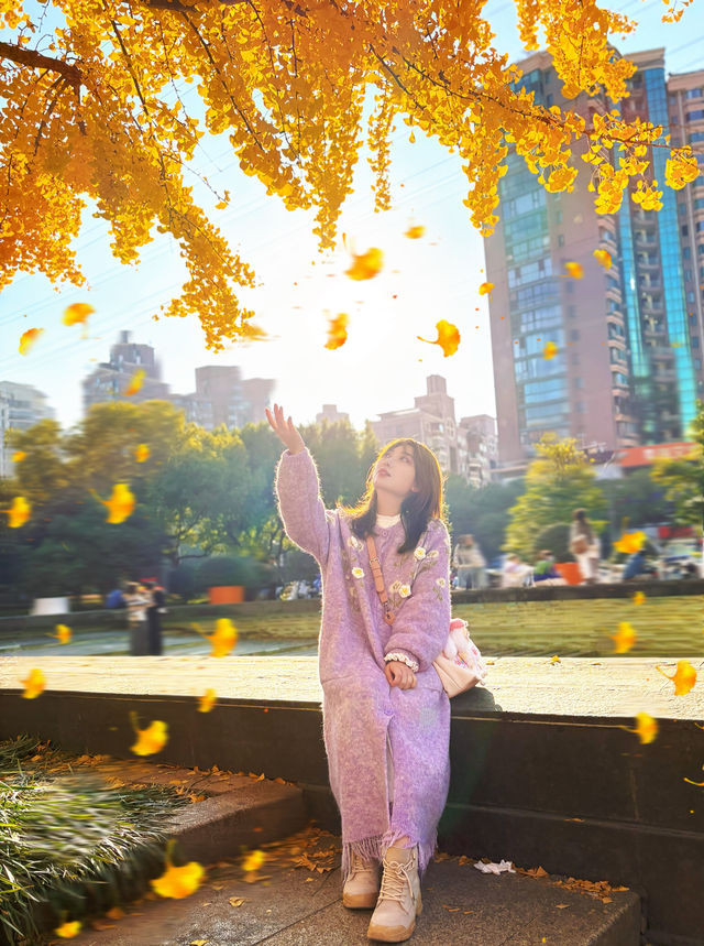 金色暴擊!上海黃金城道銀杏濃度已滿格! 金色暴擊!上海黃金城道銀杏濃度已滿格!