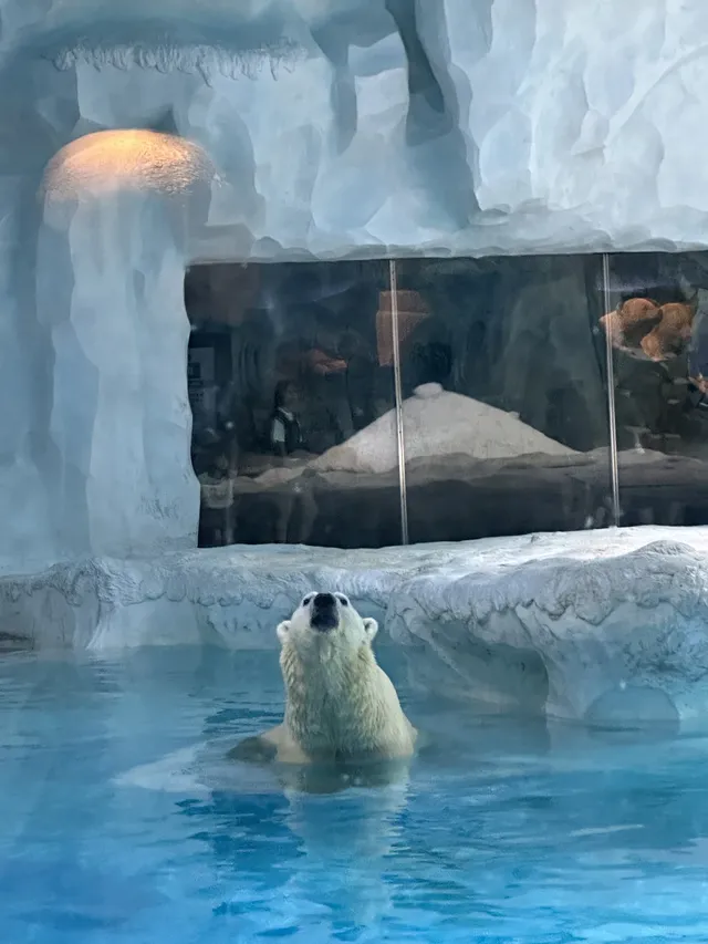 珠海!!!長隆海洋王國攻略吃喝一條龍~ 珠海!!!長隆海洋王國攻略吃喝一條龍~