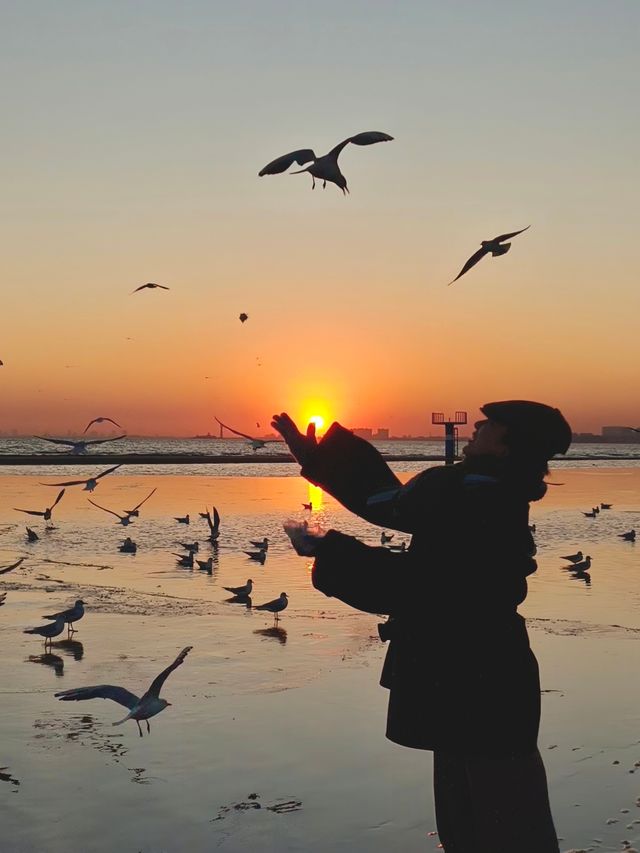 有沒有人會反覆愛上冬日的海邊? 有沒有人會反覆愛上冬日的海邊?