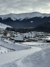 阿勒泰四天三晚旅行攻略 | 禾木&白哈巴