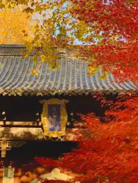 12.6-7合肥大巴出發，一起快樂徒步吧