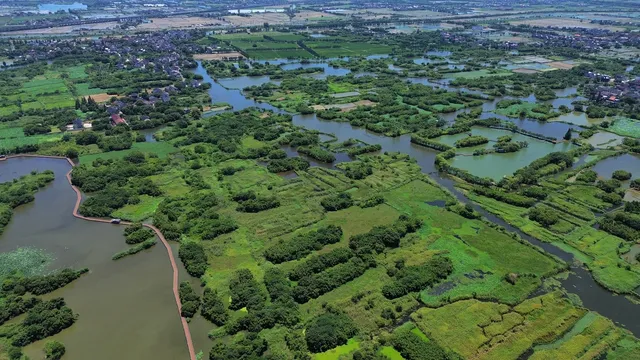航拍——德清下渚湖 航拍——德清下渚湖