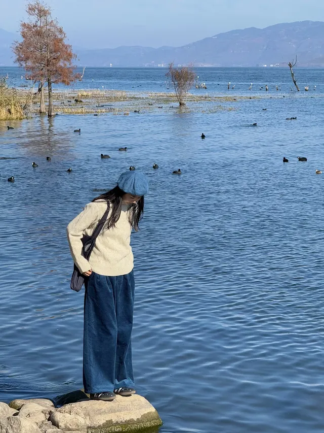 愛回收|來大理直接複製這條洱海一日遊路線! 愛回收|來大理直接複製這條洱海一日遊路線!