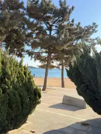 大連傅家莊+銀沙灘+跨海大橋【攻略】