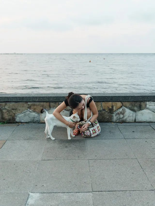 當你談到「殖民地」，你會想到什麼？