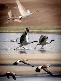 藍冰季限定預告！還有這裡可以免費直達