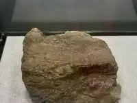 恐龍展抽獎只剩最後1天,衝啊!