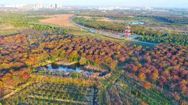 李成帶兵攻打到合肥來了