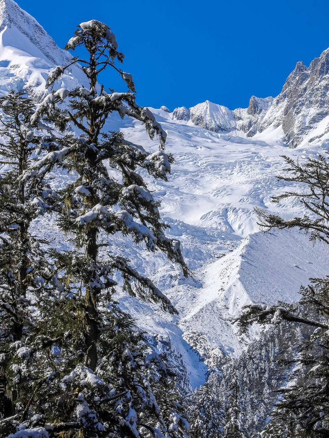 秋末初冬的海螺溝,是雪與金黃交織的雙重浪漫 原來季節的交界,可以這麼好看。 冬日的海螺溝是銀裝 秋末初冬的海螺溝,是雪與金黃交織的雙重浪漫 原來季節的交界,可以這麼好看。 冬日的海螺溝是銀裝