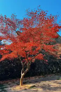 台州賞秋封神4條徒步路線建議收藏~