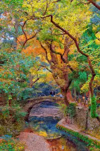 台州賞秋封神4條徒步路線建議收藏~