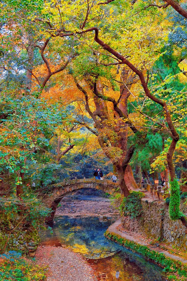 台州賞秋封神4條徒步路線建議收藏~ 台州賞秋封神4條徒步路線建議收藏~