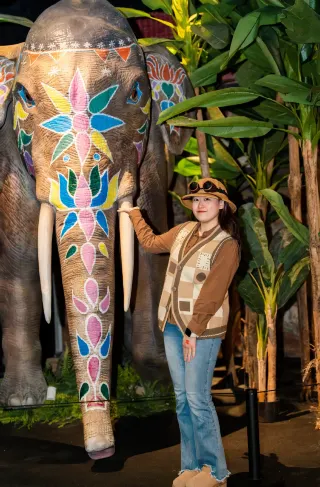 Travel around 9 countries and 12 cities with your kids in one night without a plane ticket