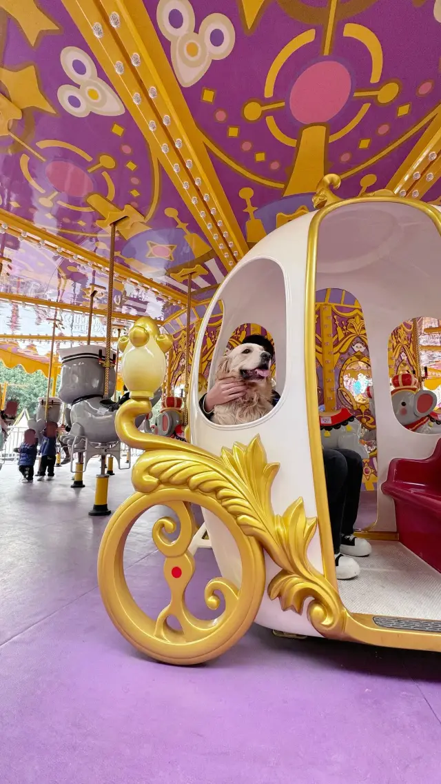 Shenzhen Happy Valley is now pet-friendly!!