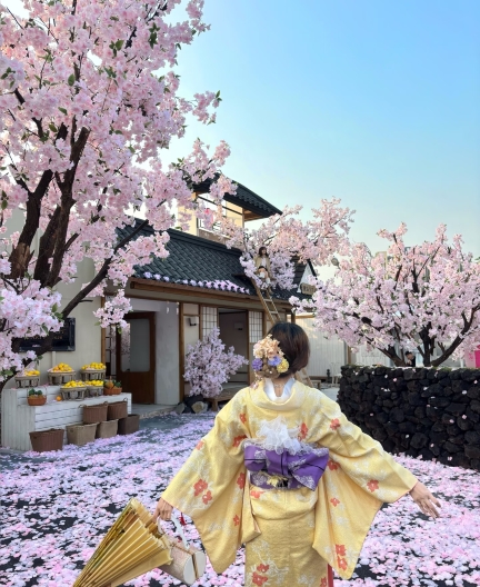 桜花 深圳の桜撮影＆チェックイン攻略｜和風の鉄道口の桜限定絶景 | Trip