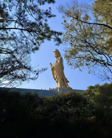 Putuo Mountain, it's your turn to visit this time----Have you ever