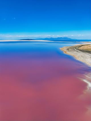 겨울방학 미국 6일 여행 완벽 가이드