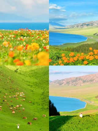 五月新疆美到窒息一半雪山一半花海人間仙境在這裡