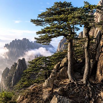 黄山2日1泊｜光明頂の日の出と西海大峡谷の全記録 | Trip.com 黄山