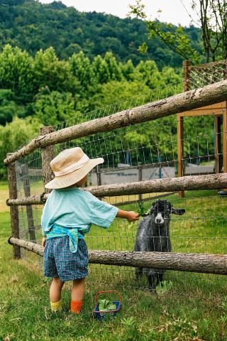 No rush | Enjoy a family vacation in the mountains and countryside.