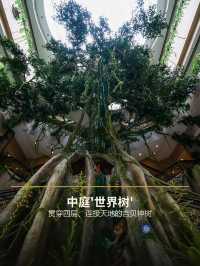 The World Tree | Complete guide to the Shanghai Museum Americas exhibition