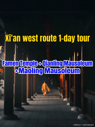 Xi'an West Line Ultimate One-Day Tour: Famen Temple + Qianling + Maoling | The ultimate guide