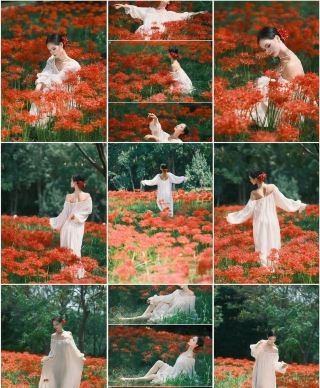 长沙の洋湖｜秋の日差しに包まれたコスモスの花畑で癒しのひとときを。