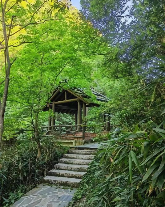 Daxiong Mountain National Forest Park is located in Xinhua County, Loudi City, Hunan Province. It is a national 4A-level tourist attraction and a national nature reserve, known for its "majestic