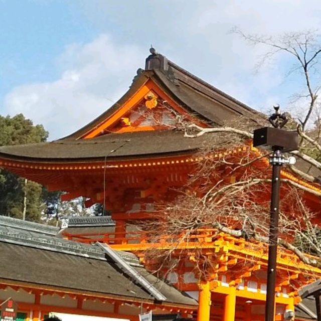 上賀茂神社で、神馬に人参をやったのが楽しかった。