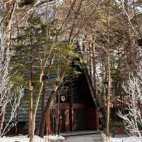 東京七天六夜自由行:輕井澤，足利花卉公園，鎌倉，東京鐵塔，淺草寺