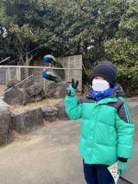 親子遊必去！ #伊豆仙人掌動物園