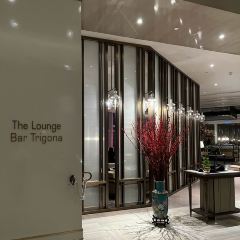 Bar Trigona User Photo