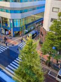 KADOYA HOTEL, SHINJUKU