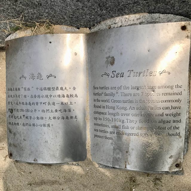 Educational/Storey Telling at Cafeteria Beach