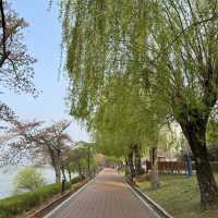 慶州景點-普門湖風景區