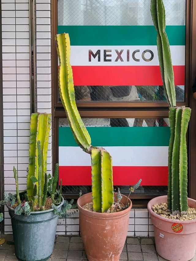 沖縄本島で大人気のタコス店 MEXICO