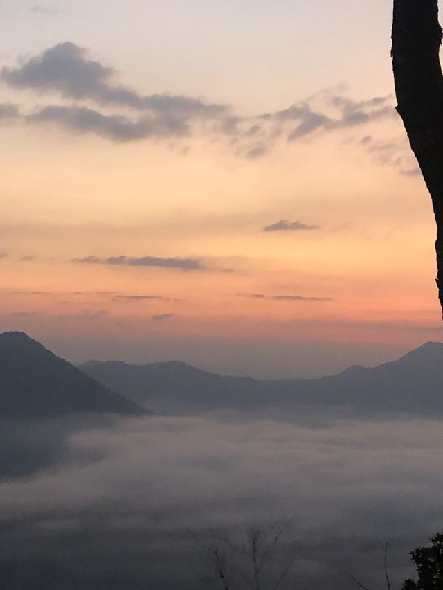 ขึ้นเขาไปชมทะเลหมอกกัน⛰️