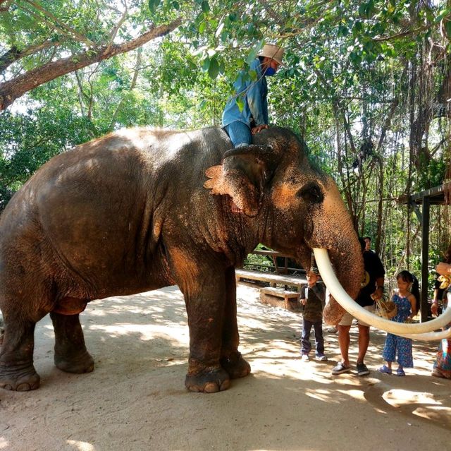 คาเฟ่ ฟีลธรรมชาติ