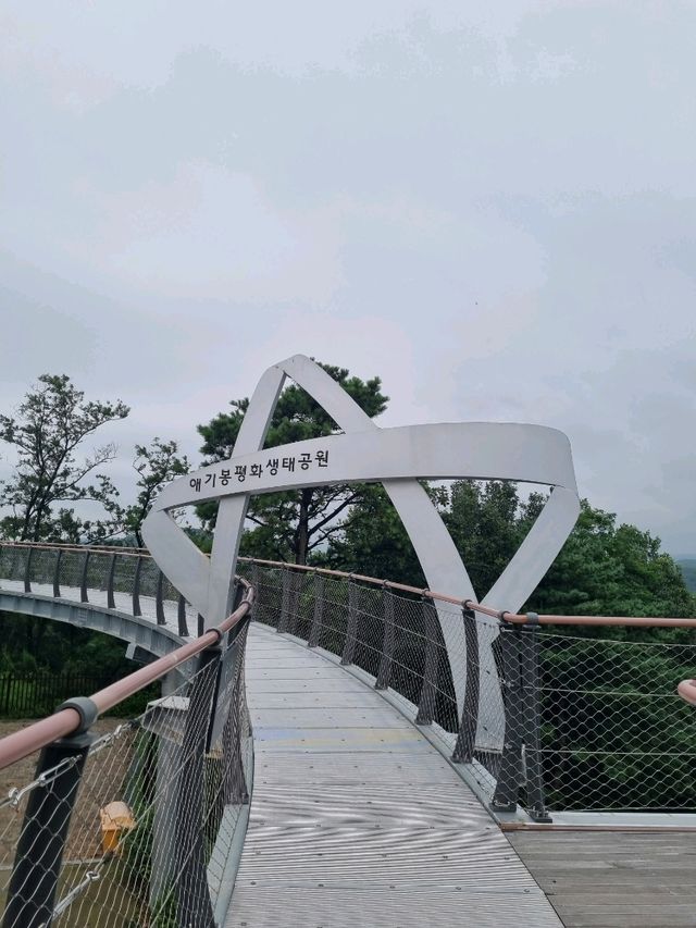 흐린 날 방문해도 선명하게 북녁을 바라볼 수 있는 곳!