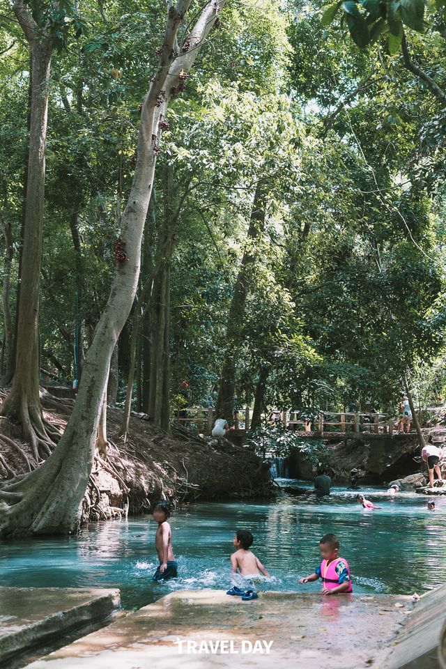 เที่ยวเขาใหญ่แบบเน้นธรรมชาติ ไม่แวะคาเฟ่