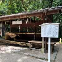 【京都】みたらし団子発祥の世界遺産